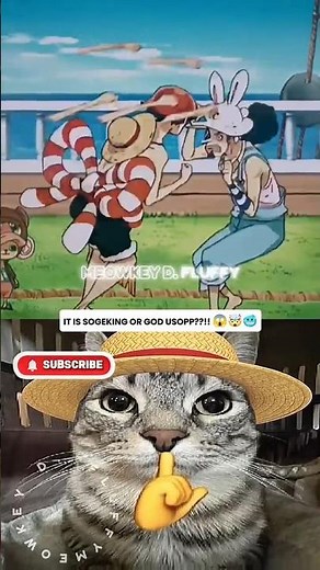 EVEN LUFFY CANT HIT USOPP 😳💥 | LUFFY VS USOPP #onepiece #luffyedit #usoppedit #birdtrend