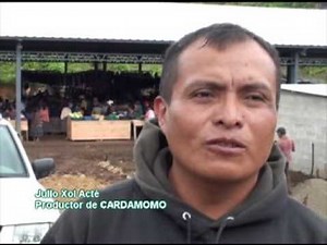 El Cardamomo en Guatemala