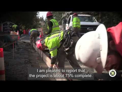 Head of the Bay Update for Bainbridge Island March 2026