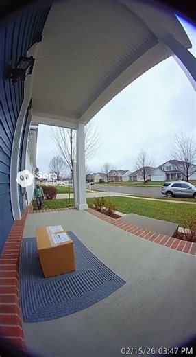 The Dramatic Package Wind Fail 🌬️