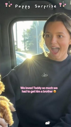 Most emotional puppy surprise for kids#dog #puppy #surpris #wholesome