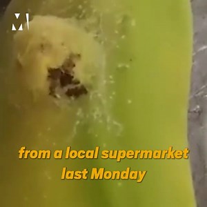 4.6K views · 36 reactions | Hundreds of spiders have been caught on camera 'bursting out of a banana' a mother had bought from Waitrose, and quite frankly, we can't think of anything more horrifying  | Metro | Facebook