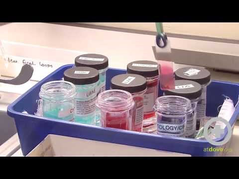 How to Stain a Blood Smear