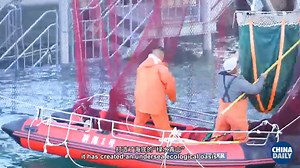 🧐🧐Discover the impressive "Genghai No 1" marine ranch complex in #Yantai's #Laishan district — a massive ring blending cutting-edge economic and ecological tech with tourist appeal. What secrets lie within this marvel? Watch the video to find out more🥳. #LaishaDevl #DiscoverChina | Laishan of Yantai