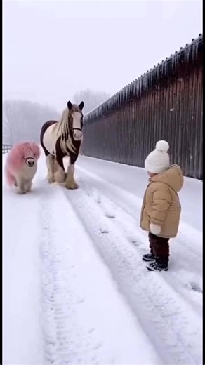 POV: You meet your dream in the snow | R O M A N C H U K I R A