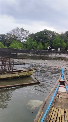 Fresh Red Snapper Recipes for Delicious Meals