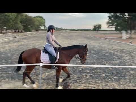 G Jackson CCN1* Test A