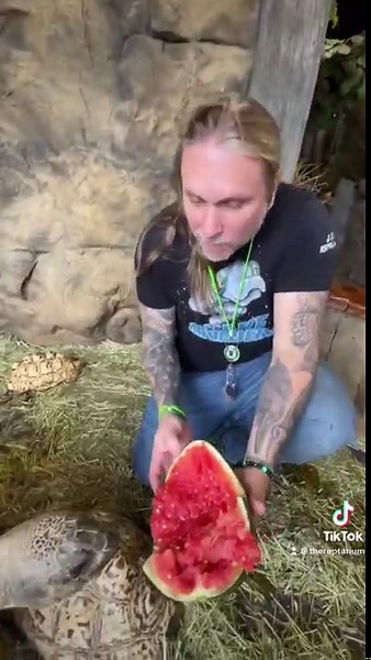 THE REPTARIUM - Animals try watermelon for the first time at ZOO
