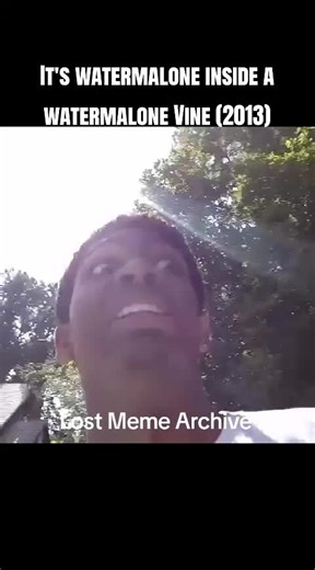 Watermelon Inside a Watermelon: A Meme Delight