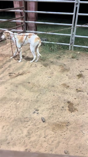 Texassummer1987.0 on TikTok