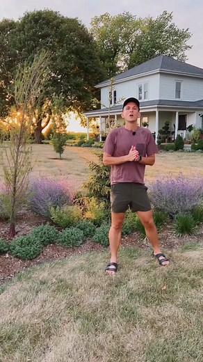 This flowerbed has been here already for one year, and I wouldn’t change a single thing. I designed my front flowerbed to be filled with sun-loving, drought-tolerant plants that are filled with color: - Millennium Allium - White Cloud Calamintha - Cat’s Pajamas Catmint - Russian Sage Crazy Blue