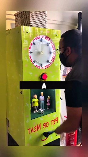 Amazing Facts Wait for End #dailyfacts #amazing #fact #facts #trending