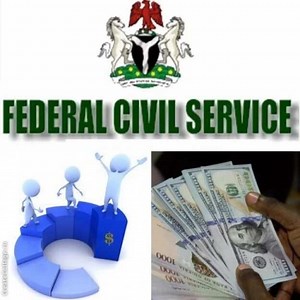 Federal civil service: Structure and grade levels