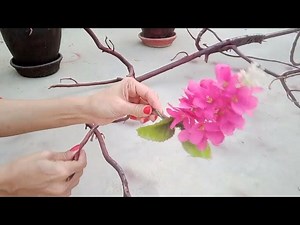 tree branch decorate on spring season for room decoration clas...