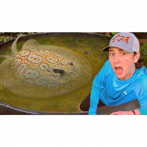 In today’s video, I explore my mystery pond that is FILLED with alien fish! For the past few months I have been putting the craziest and weirdest fish in this pond, and its time to catch them out! But first I needed to remove the deadly freshwater stingrays that I also put in the pond! I got in and started netting around and I was able to catch one of the stingrays, but the second one was harder to find! I kept going and I caught TONS of aquarium fish including piranhas, koi, cichlids, catfish, 