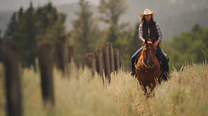 157K views · 16 reactions | Make sure whatever you’re into outside, doesn’t ruin your vehicle’s inside. WeatherTech keeps you protected! | WeatherTech | Facebook