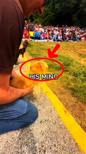 This Dog Is Very Excited BECAUSE...♥️🐕