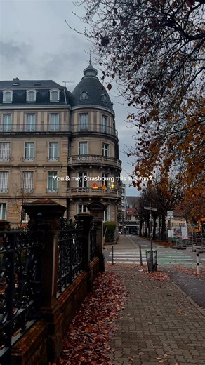 Can‘t wait for Strasbourg to feel like this 🍁 . . . #strasbourg #alsace #visitfrance #strasbourgfrance🇫🇷 #strasbourgeoise