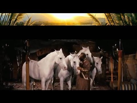 Caballos Árabes en Ben Hur de 1959