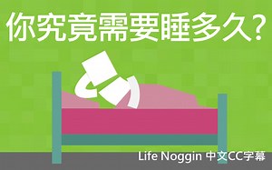 【Life Noggin】你究竟需要睡多久? (中文CC字幕)