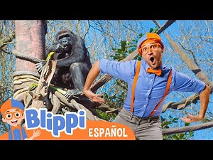 Blippi en el Zoo - Alimenta a los Animales | Blippi Español | Videos educativos para niños