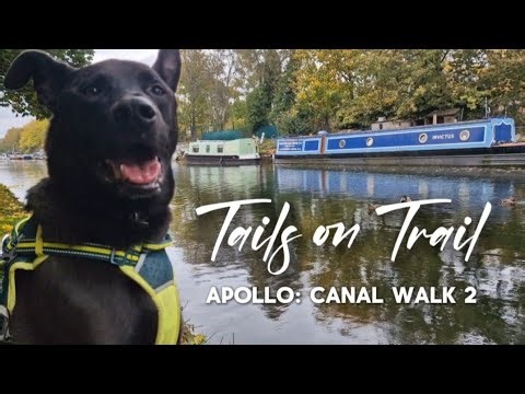 Tails on trail: apollo canal walk 2