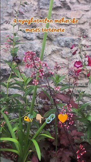 A nyughatatlan méhecske🐝 mesés története kint a csatornán 🧡 #hangosmese