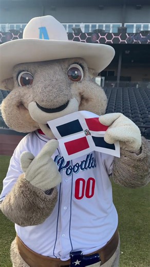 Ruckus in the World Baseball Classic: Who Are You Rooting For?