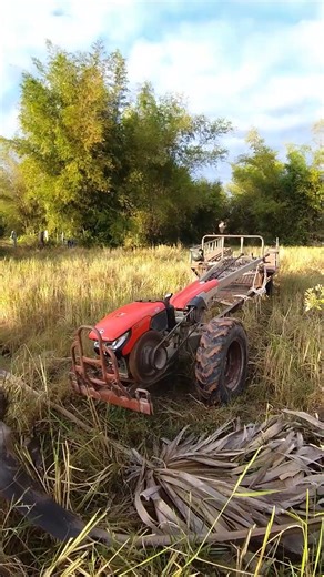 VS5018, Team KubotaZT140 Walking tractor #shorts