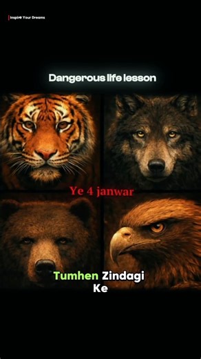 Dangerous Life Lessons 🐯🐺🐻🦅 | 4 Janwar 4 Rules to Win Life
