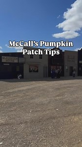 🎃🍁 McCall’s Pumpkin Patch = Best Fall Tradition for ABQ Families! 🍁🎃 Nothing says fall in New Mexico like loading up the kids and heading to @mccallspumpkinpatch . From train rides and the corn maze to pumpkin picking and petting zoos; there’s something magical for every age. ✨ It’s one of those days where the kids run free, you snap a hundred photos, and everyone goes home tired and happy. These are the memories your family will look back on year after year, so start the tradition now! 💛 �