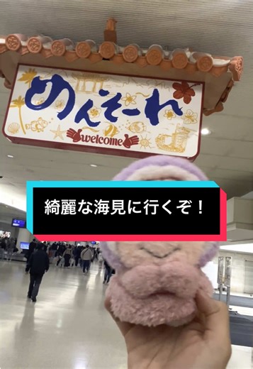 綺麗な海見たーい！って思ってお共にヤングオイスターを連れて沖縄ひとり旅行ってきました🌺🌴 #沖縄 #美ら海水族館 #熱帯ドリームセンター #ひとり旅 #振り向き界隈 #ぬいぐるみ