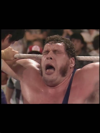Ultimate Warrior vs Andre the Giant: Epic Match Highlights