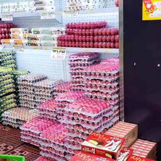 Yukhoe Bibimbap!! It's the best, but it's too complicated to make. SMH #hamzy #mukbang #asmr #hamzymukbang | Love Hamzy Mukbang