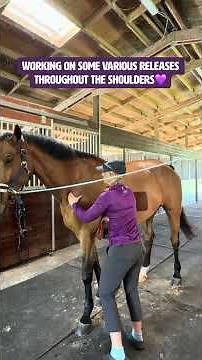 Shoulder Release with Equine Massage #equestrianjourney #equestrian #equinemassage