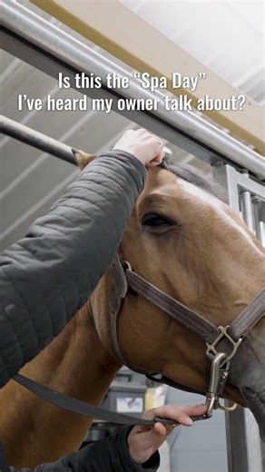 VitalizeEQ Spa Day V2