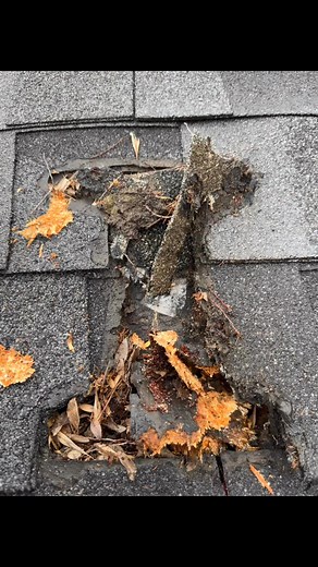 Wanna know what not to do when reroofing? This right here. Instead of removing the satellite dish like you’re supposed to, someone cut the shingles out around it and slapped on some caulk like that was gonna work. Now we’ve got a leak inside the house and rotted decking. If you’re reroofing, take the satellite dish off and reinstall it on top of the new shingles—don’t just work around it like it’s bolted to the moon. Texas Pride Roofing & Fencing #RoofingGoneWrong #LeakyRoof #RottedDecking #Roof