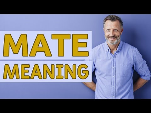 Mate | Meaning of mate
