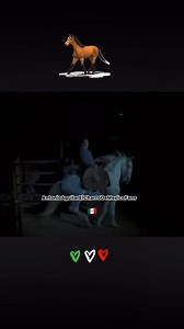 Puño de tierra audio en vivo - Antonio Aguilar #antonioaguilarelcharrodemexicofans #mexico #elcharrodemexico #AntonioAguilar #charros #caballos # | Antonio Aguilar El Charro De México Fans