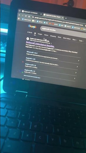 How to get EaglerCraft on your school computer!