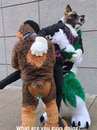 Happy Thursday, everyone! In today's video, we have a live demonstration on how to handle a teacher crash out! Let's watch and learn how our two special guests handle it! 📝 🐺: @Rocky 🐶: @Wuffer #schoollife #teachersoftiktok #fursuit #cute #furcon