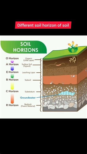 Soil Horizon Explained | Soil Profile Layers O, A, B, C | Agriculture Basics#‪@Agri-theorys‬