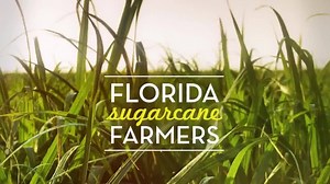 Farming the right way matters - Click here to learn more about your local farmers. | Florida Sugarcane Farmers