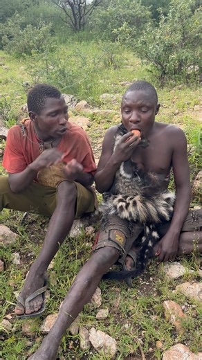 𝗖𝗵𝗮𝗮𝗯𝗮 𝘁𝗵𝗲 𝗘𝗴𝗴 𝗦𝗵𝗲𝗹𝗹 𝗜𝘀𝗻’𝘁 𝗠𝗲𝗮𝗻𝘁 𝘁𝗼 𝗕𝗲 𝗘𝗮𝘁𝗲𝗻!