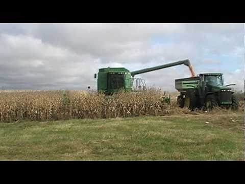 Harvesting 12 row corn head on 9650 JD