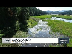 WATCH 4 News Now Special Edition at 8 - August 31, 2024