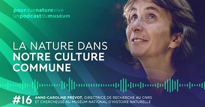 La nature dans notre culture commune | Lumni Enseignement