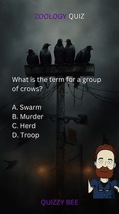 112K views · 2.8K reactions | Zoology Quiz | Zoology Explorer's Challenge: Test Your Wildlife Knowledge 黎 | #zoology #zoo #animals #nature #quiz #education #knowledge #challenge #learning #getlearning #school #quiztime #trivia #facts #fbreels #reelsfb #reels #viralreels #viralvideo #viral #brainteaser #educationalcontent #fyp #quizbee | Quizzy Bee | Facebook