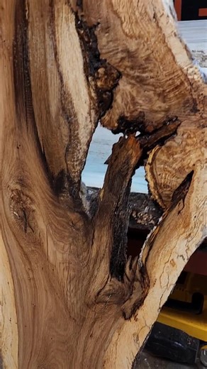 Spalted White Oak Live Edge Board – Reclaimed Wood Slab, Planed & Kiln Dried
