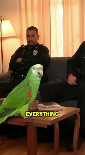 Why Does This Parrot Hate Authority?